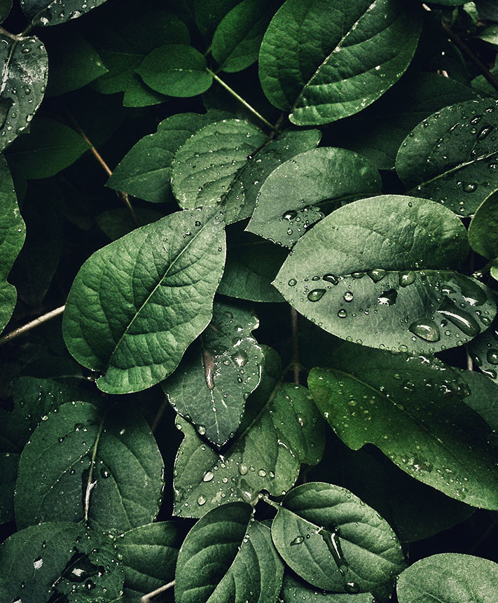 Datos, mediciones...