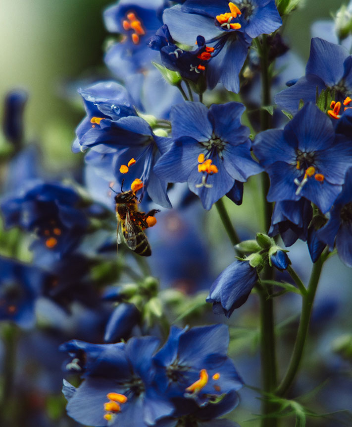 Cumplimiento de la normativa ambiental