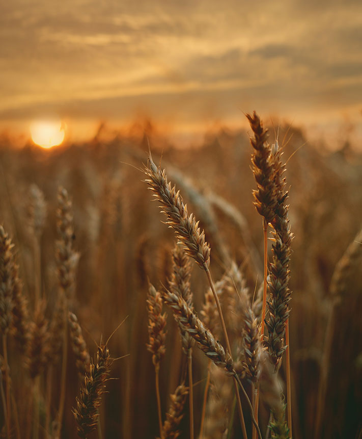 Hacer que este compromiso se extienda