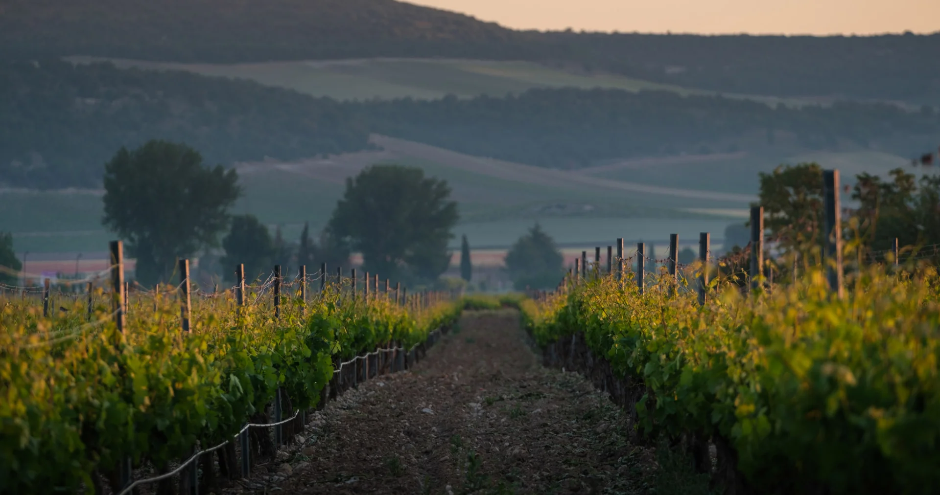 Descuentos especiales para miembros del Club Milla