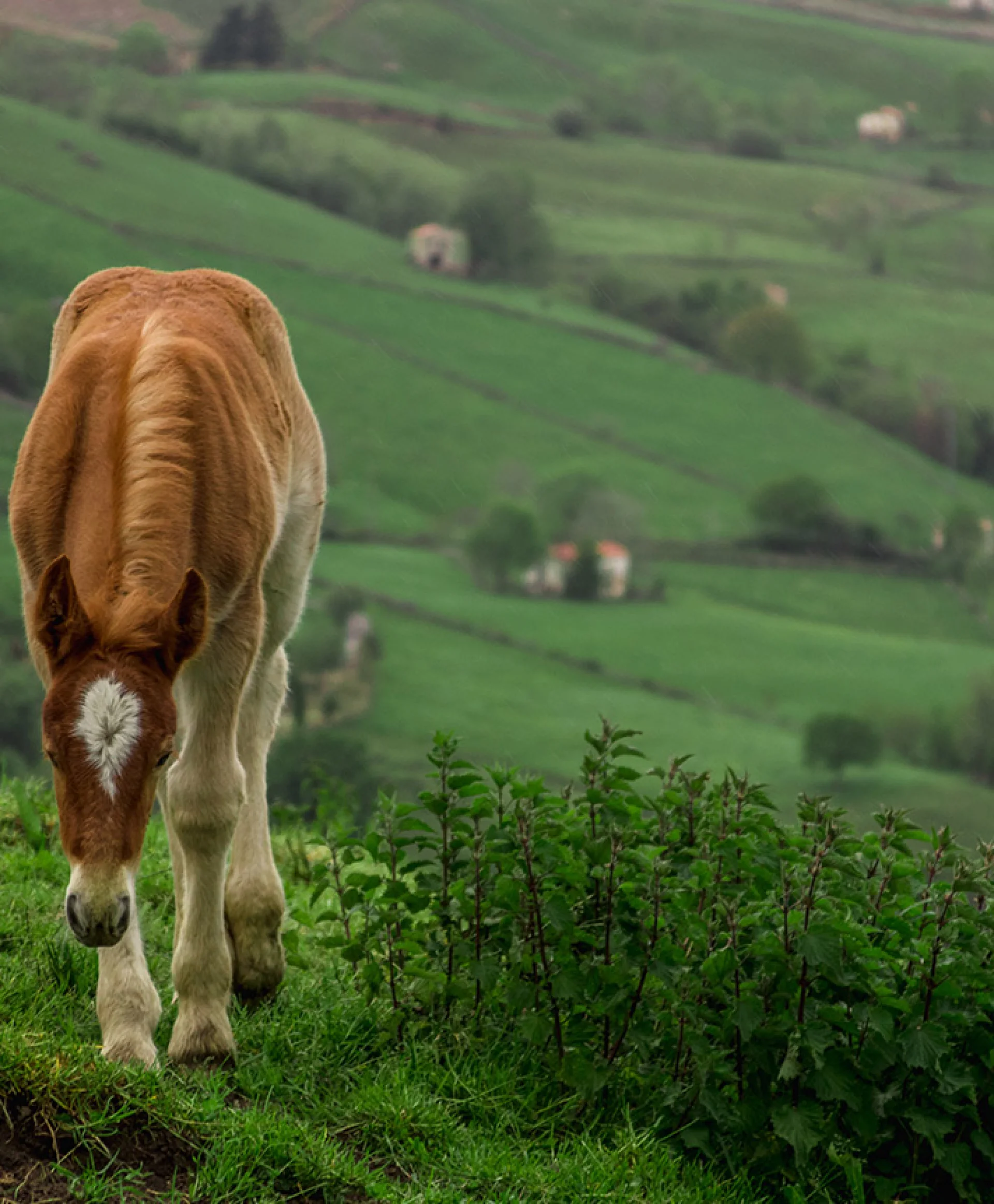 CANTABRIA, INFINITAS POSIBILIDADES