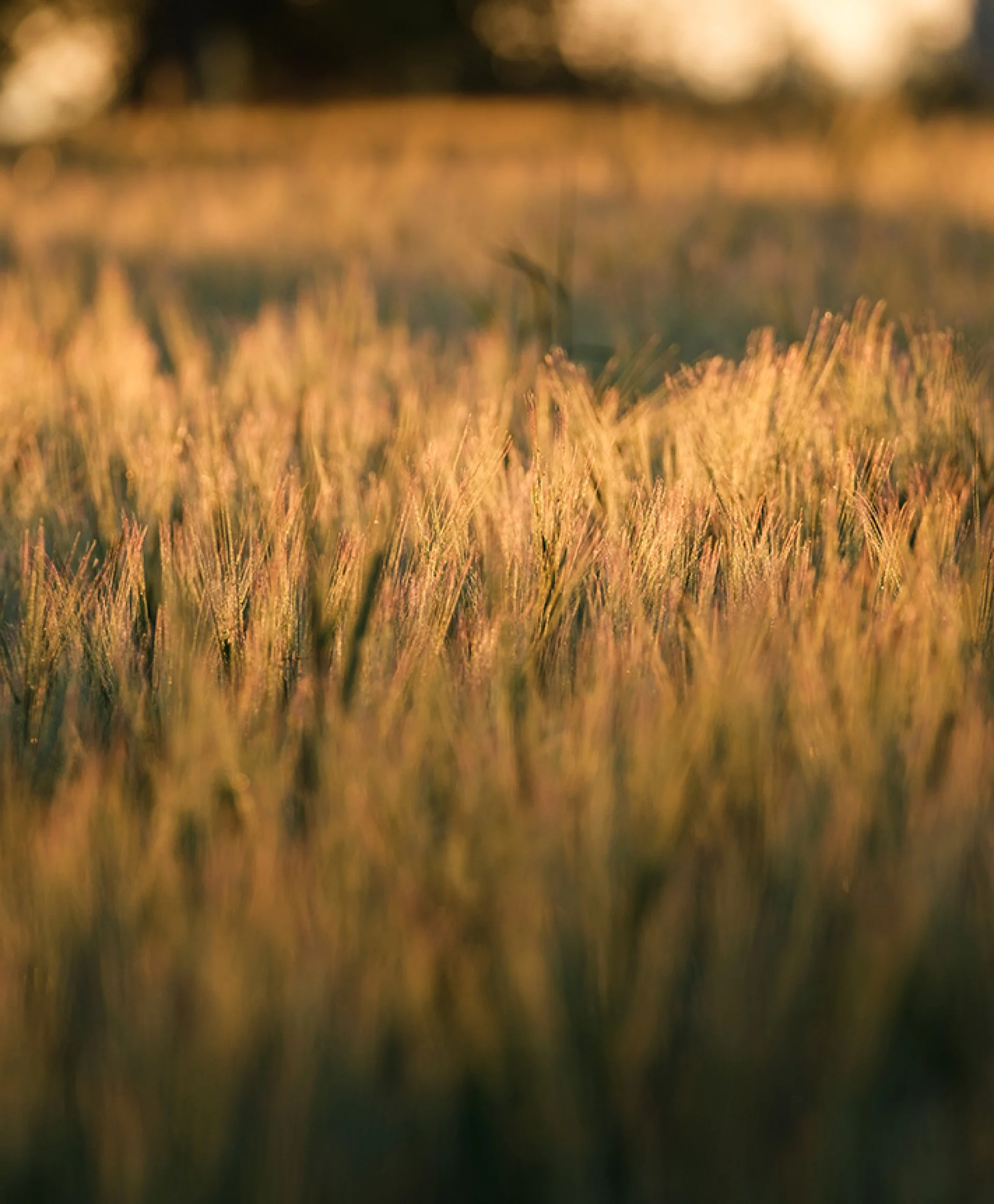 Castilla y León, destino para todos