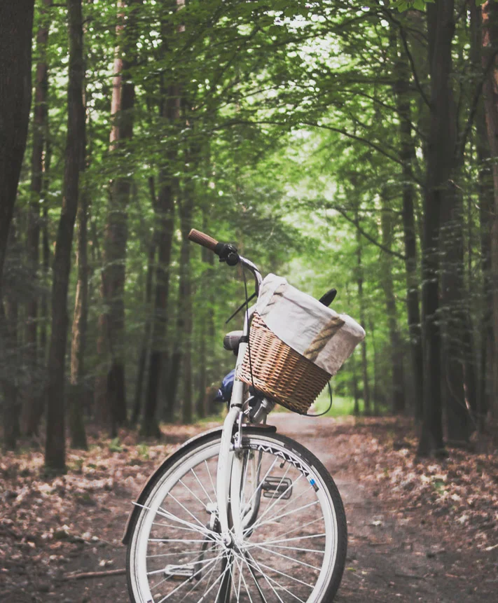 Montar en bicicleta, y los beneficios para nuestra salud