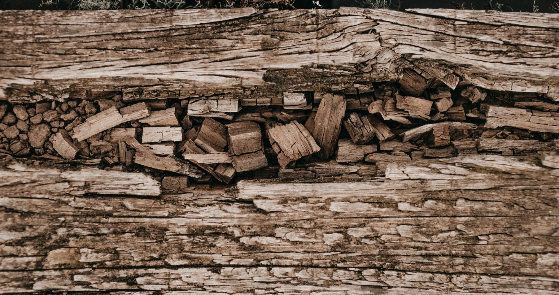 Apostamos por la biomasa para reducir nuestra huella de carbono