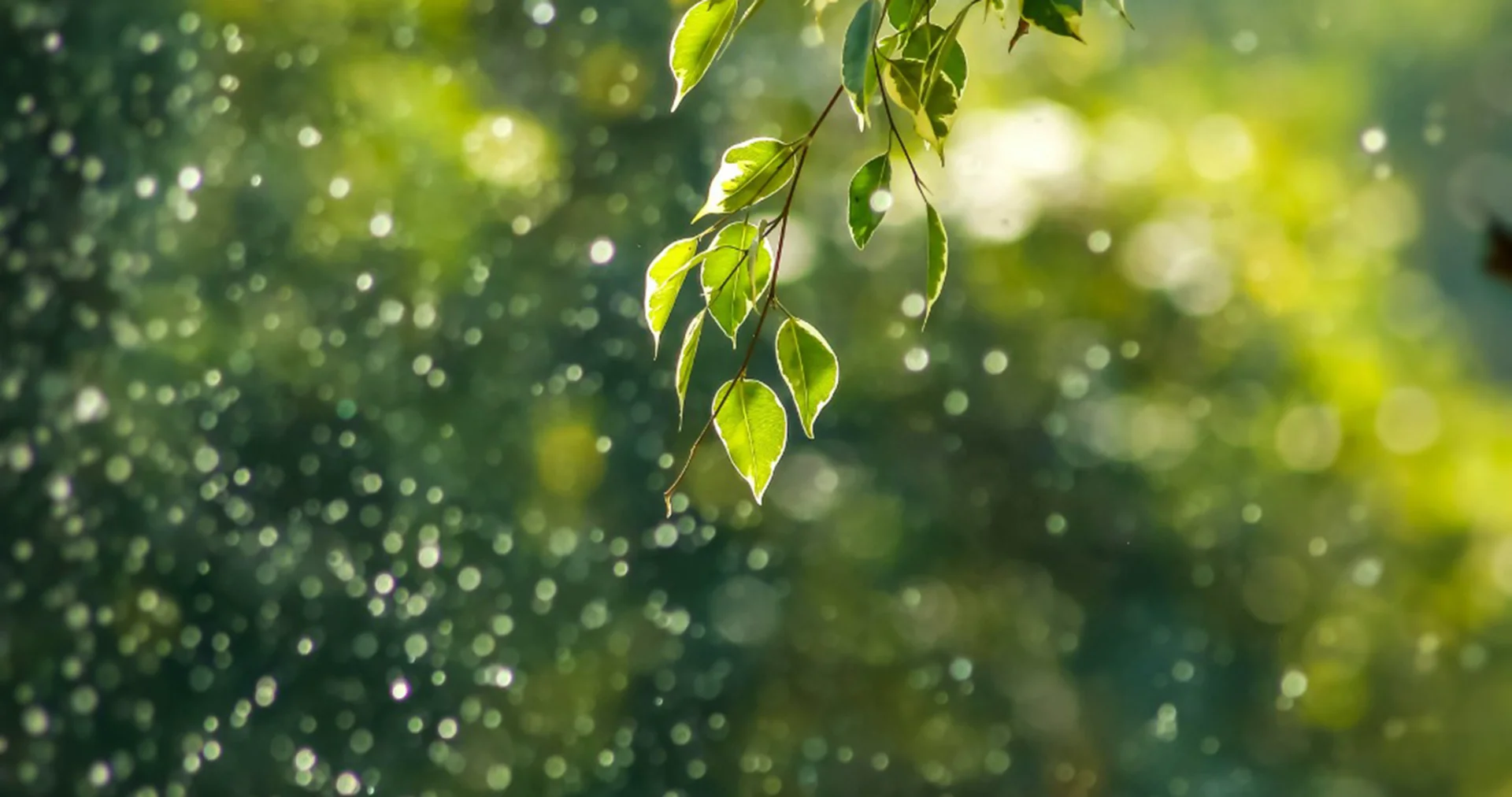 Contribuimos a difundir y defender los ODS 3 y 4: salud, bienestar y educación para todos