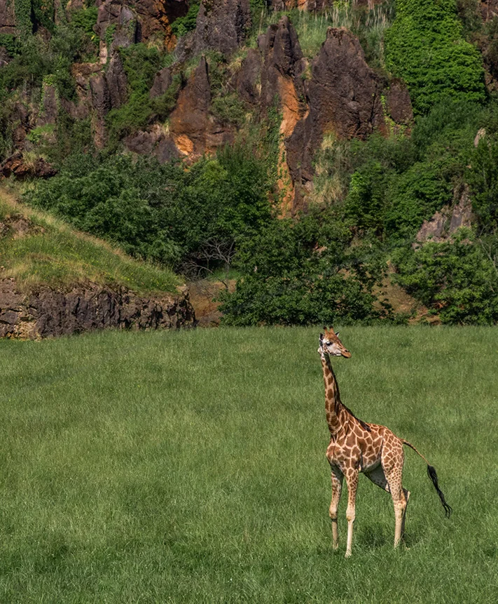 Actividades para disfrutar con los más peques en el entorno