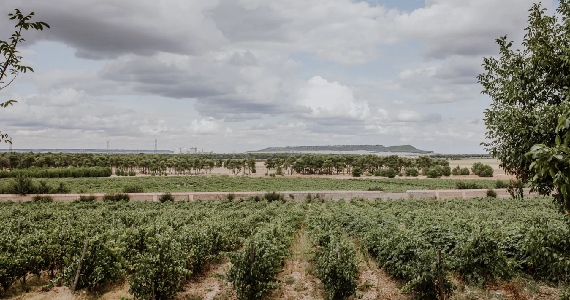 Los mejores planes para disfrutar de Tierra de Pinares
