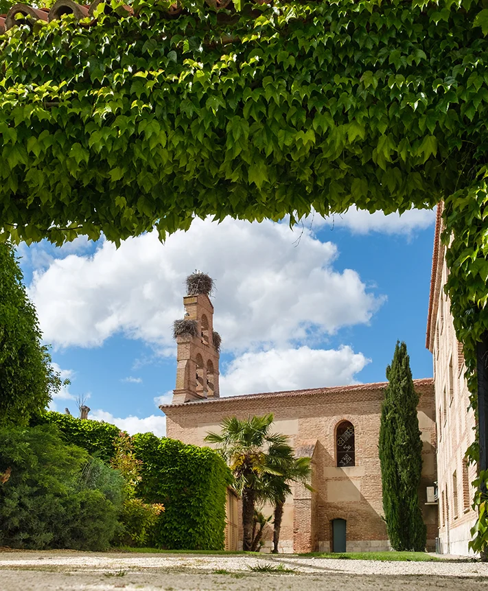 SEMANA SANTA EN TIERRA DE PINARES Y VALLADOLID