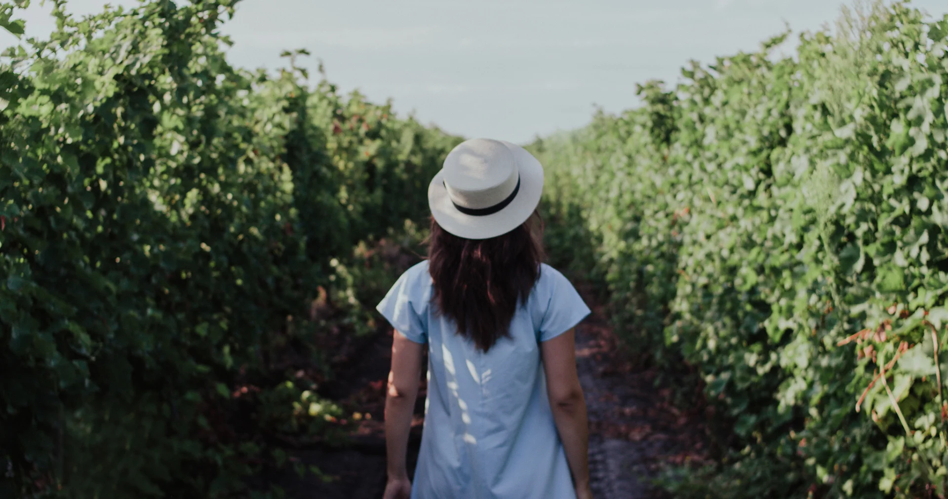 Atrévete a experimentar con tus 5 sentidos