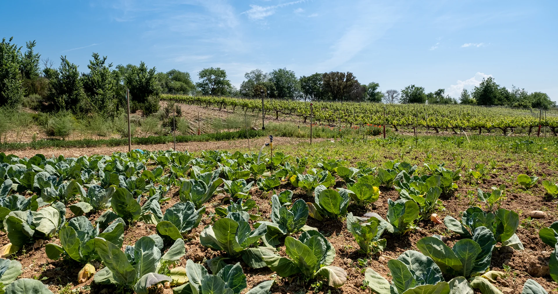 Hoteles con huerto, una declaración de intenciones