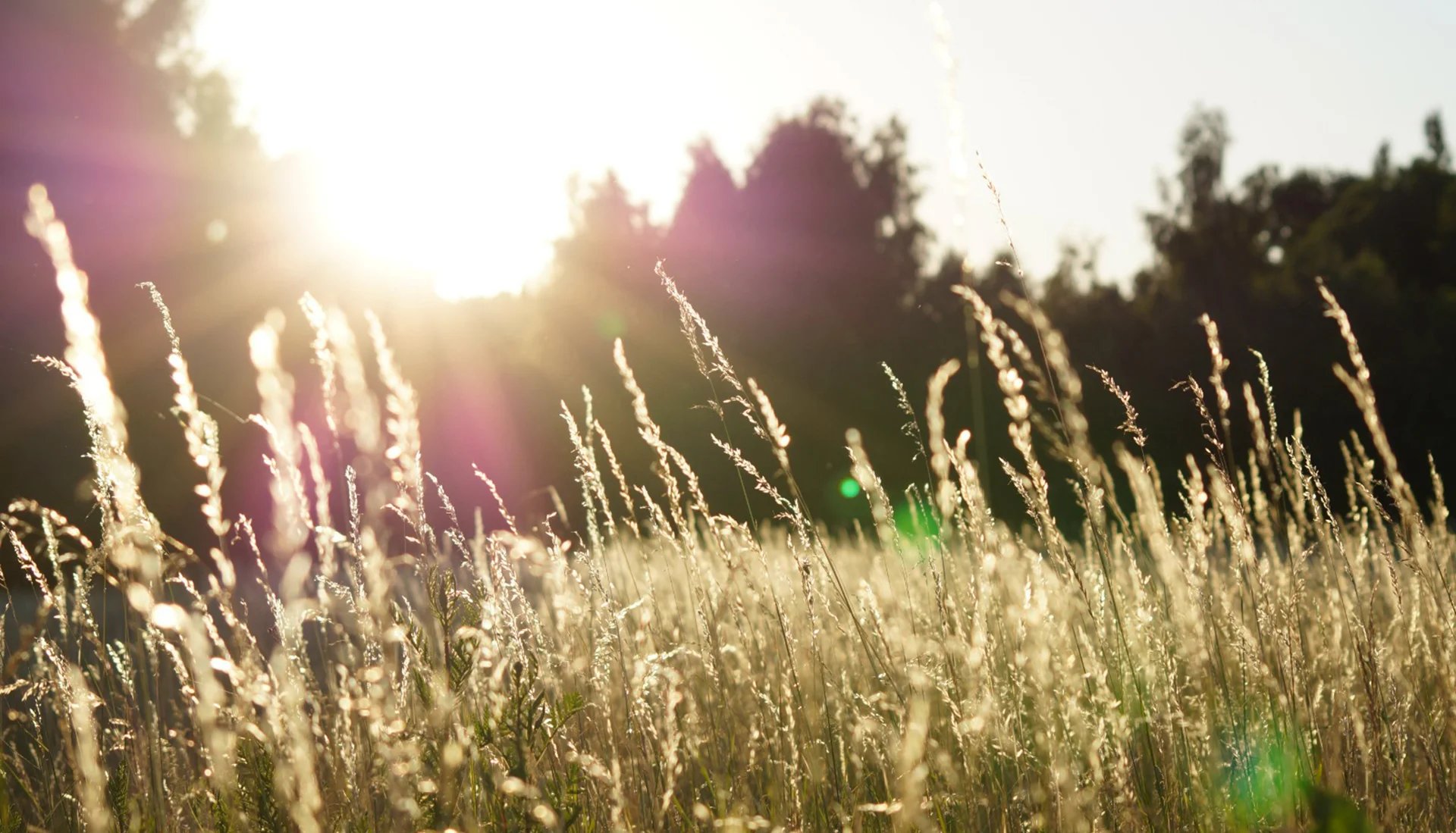 Nuestros pueblos. Un viaje que nos permite parar el tiempo