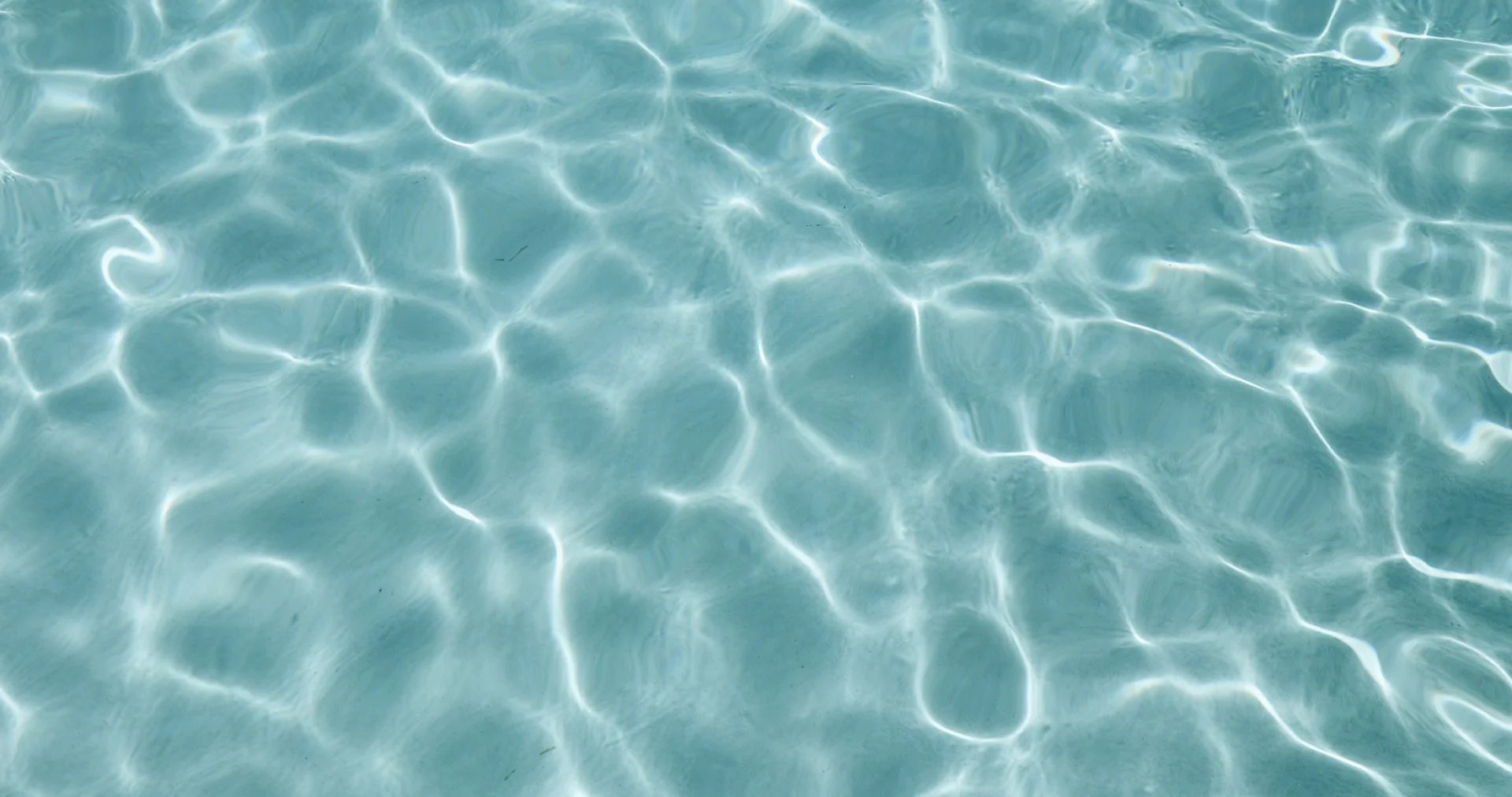 Día Mundial del Agua