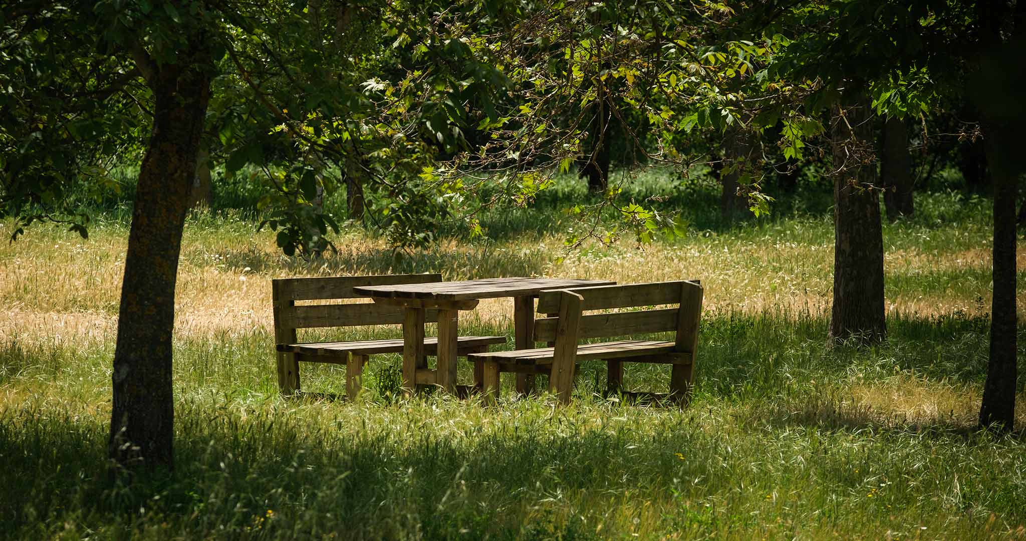 Parques Naturales - (entorno) Castilla Termal Brihuega