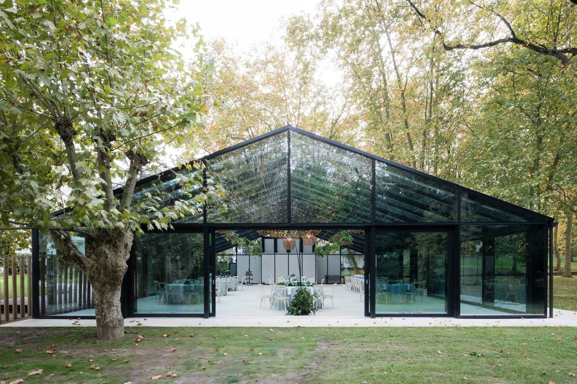 El Bosque de Solares
