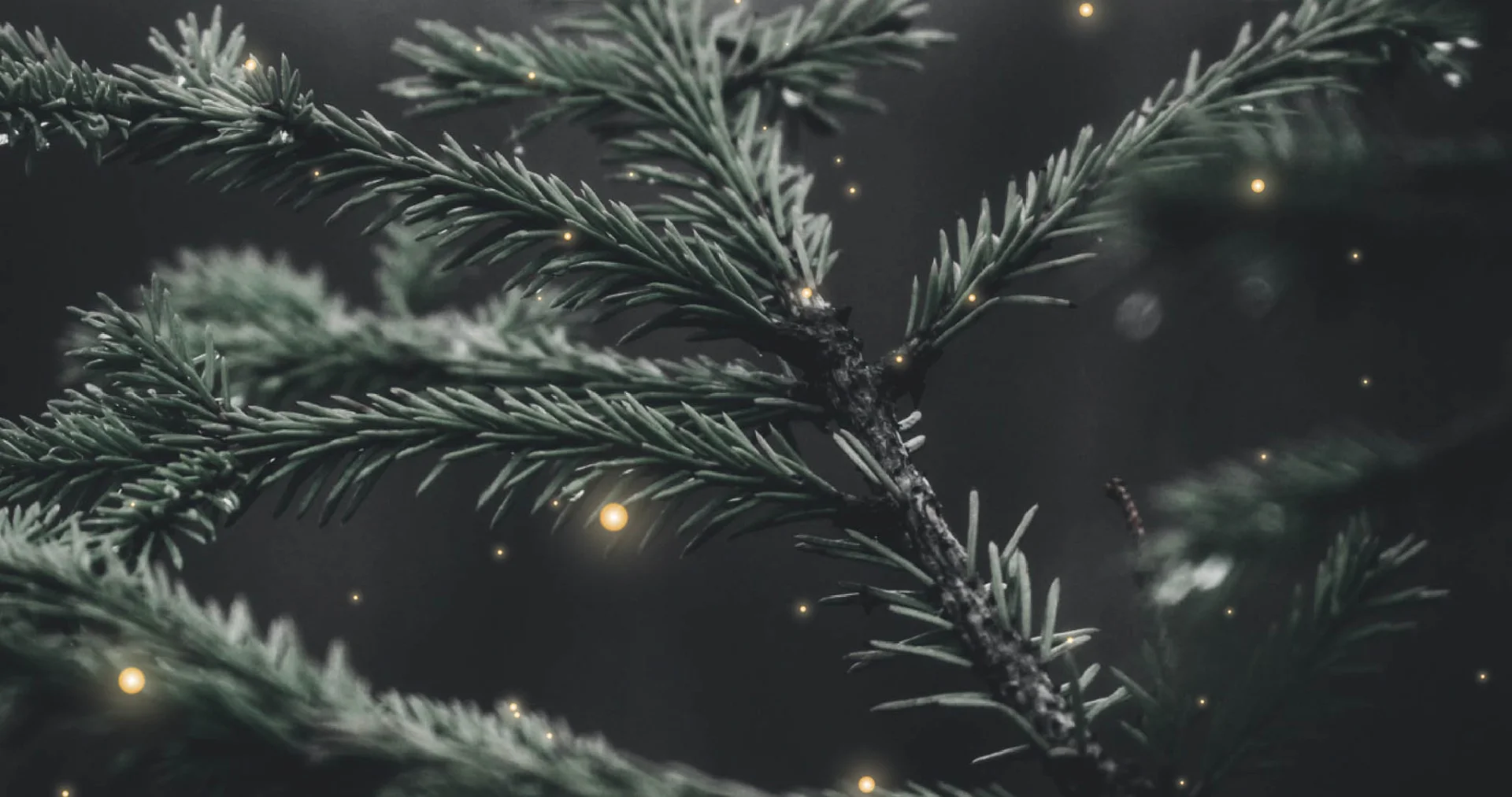 Celebra la Navidad en Castilla Termal