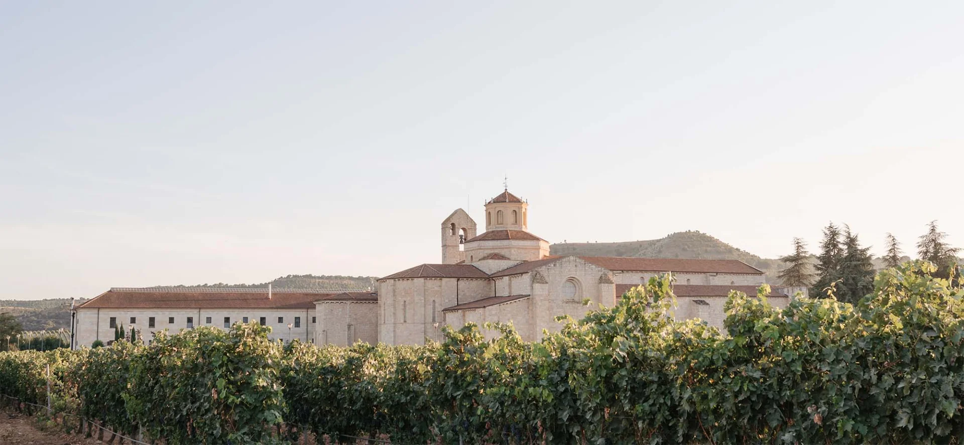Vendimia en Ribera del Duero
